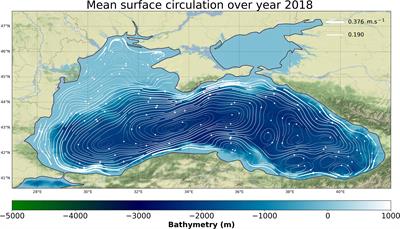 Monitoring Black Sea environmental changes from space: New products for altimetry, ocean colour and salinity. Potentialities and requirements for a dedicated in-situ observing system